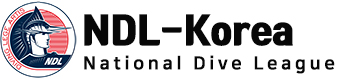 ndlkorea.com